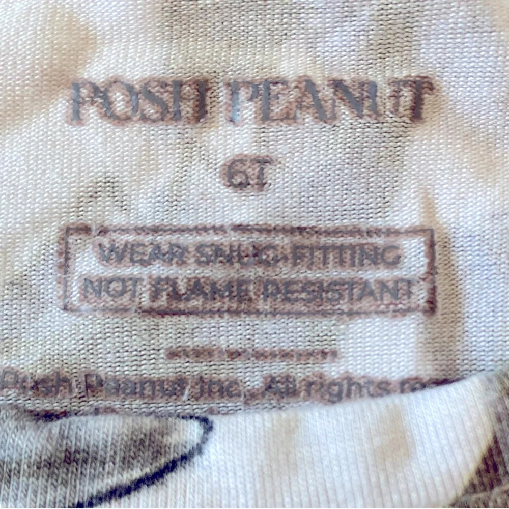 Posh Peanut Dinosaur Adventure Bamboo Viscose Pajamas Size 6